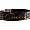 Dog Collar
