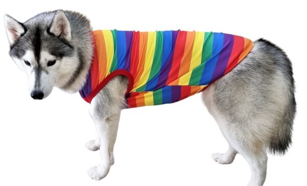 Rainbow Stripes - Image 3