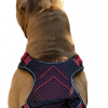 No Pull Dog Harness by Doxters