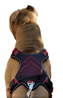 No Pull Dog Harness by Doxters
