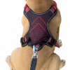 Front Clip Dog Harness By Doxters