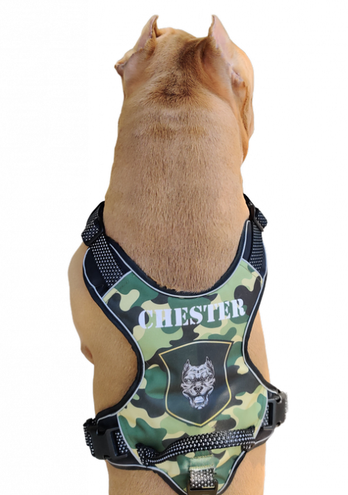 No Pull Dog Harness Personalized