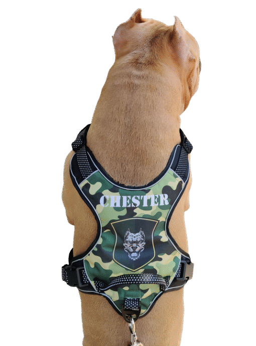 No Pull Dog Harness with Front Clip - Camouflaged Personalised - Image 2