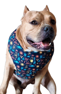 Cushioned Strain Free Dog Harness Tribal