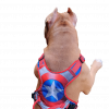 Front Clip No Pull Dog Harness