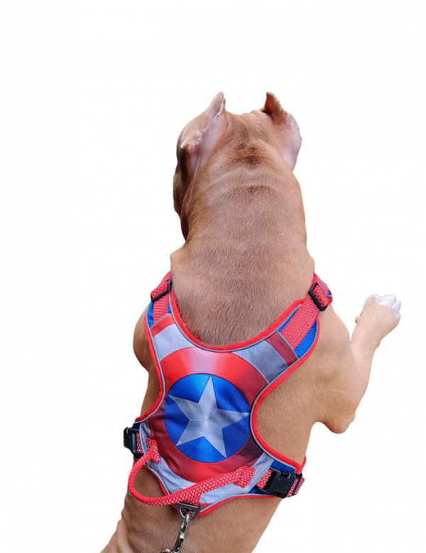Front Clip No Pull Dog Harness