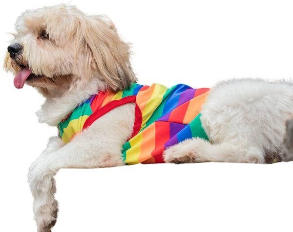 Rainbow Stripes - Image 2