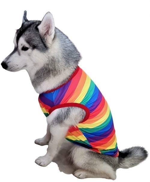 Rainbow Stripes