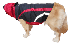 Doxters Sleeveless Dog raincoat Black and Red