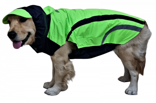 Doxters Neon Green Navy Blue Zoomster