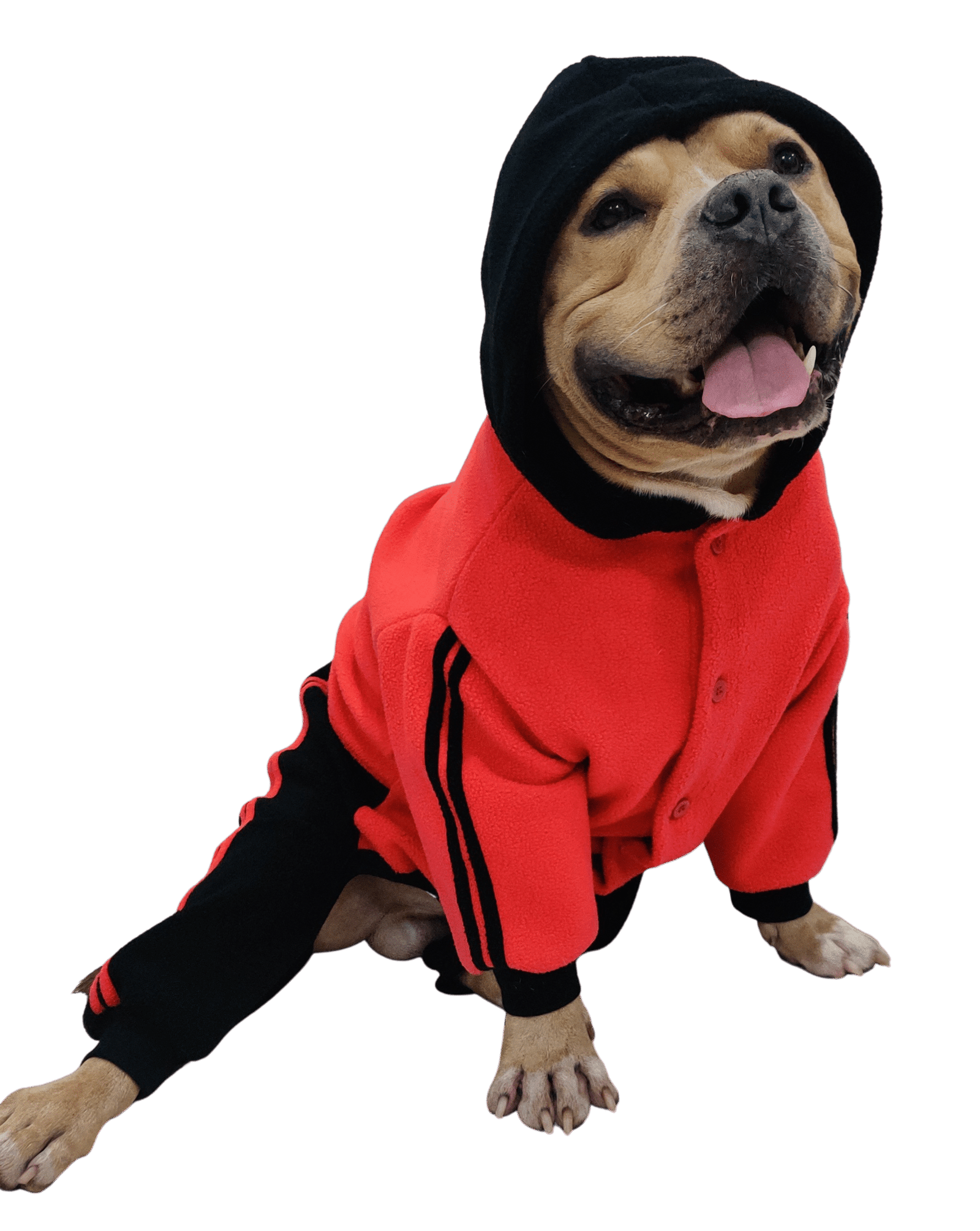 Winter Dog Jumpsuit Red Black- Doxters FurGuard - Image 5