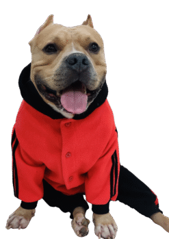 Winter Dog Jumpsuit Red Black- Doxters FurGuard