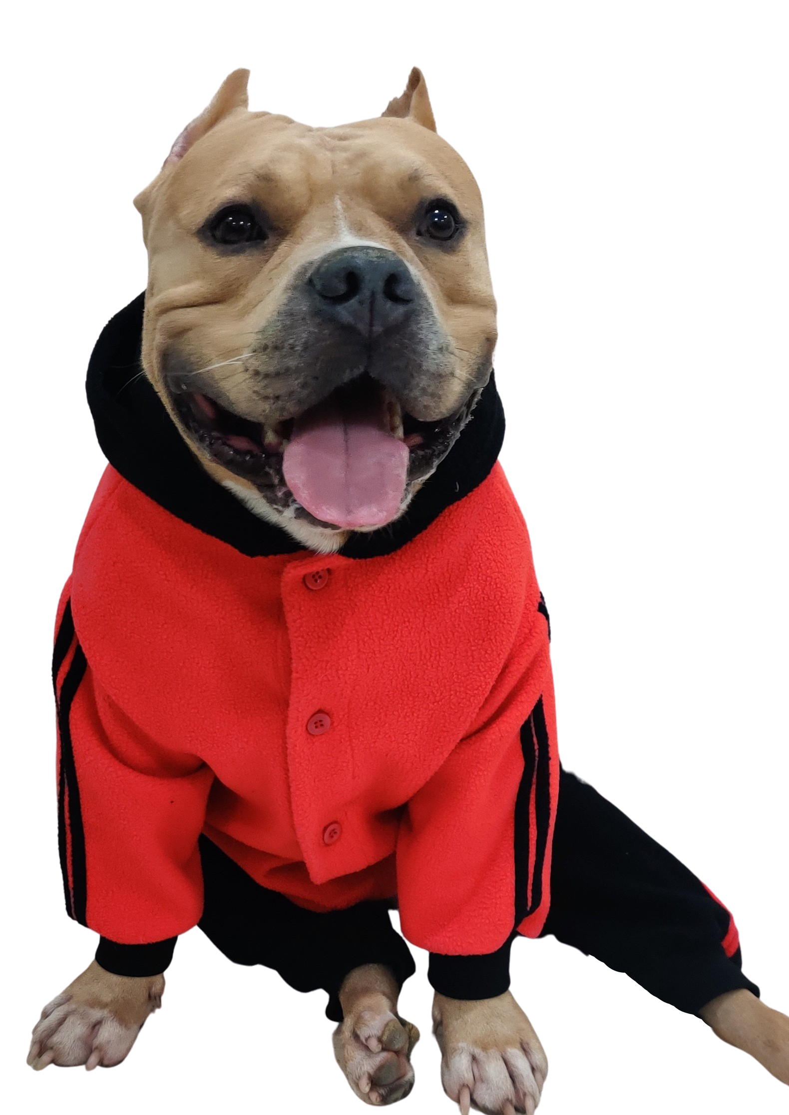 Winter Dog Jumpsuit Red Black- Doxters FurGuard