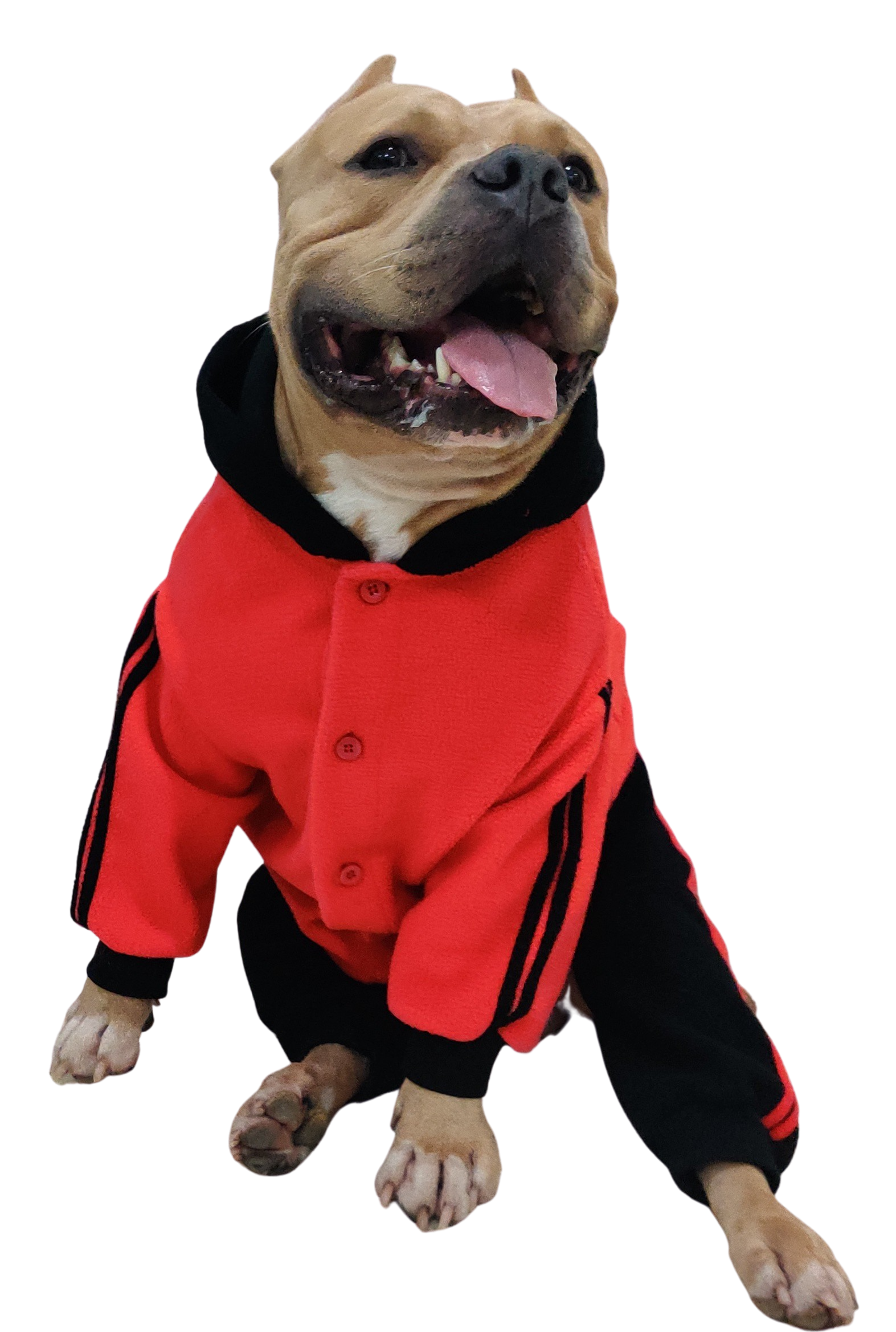 Winter Dog Jumpsuit Red Black- Doxters FurGuard - Image 2