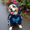 Doxters DryMax Full-Coverage Dog Raincoat Neon Blue & Black