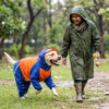 Doxters DryMax Full-Coverage Dog Raincoat Neon Orange & Royal Blue