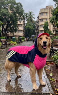 Doxters Slip on Dog Raincoat, Easy Wear Magic Cloak Navy Blue & Pink